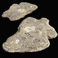 rauk stone scan G