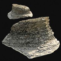 rauk stone scan C