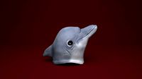 dolphin Mask