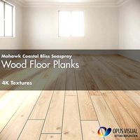 Mohawk Coastal Bliss Seaspray Hardwood Wood Floor 4K Texture