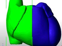 Human Heart Anatomical Model, Sliced on Sagittal Plane by muse7789