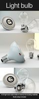 Light Bulb
