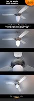 Fan 3d Model