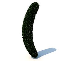 shaped hedge