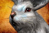 Animal Gameready rab-bit