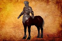 Animal Gameready - horseman