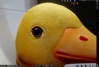 Duck Head Mask