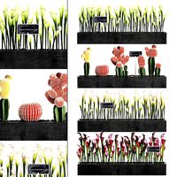 Cactus set wall decor vertical garden 45
