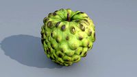 Custard Apple 3D model