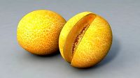 Melon 3D model