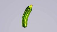 zucchini 3D model