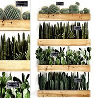 Cactus set wall decor vertical garden 42