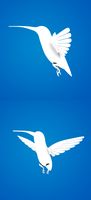 Humming Bird