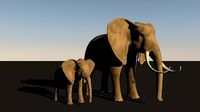 Elephant and baby Elefant und baby
