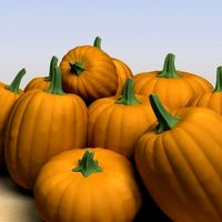 Pumpkins 3D Model