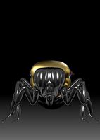 queen bee