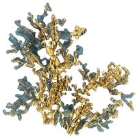 3 Corals