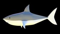 low poly shark