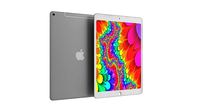 iPad Air Silver