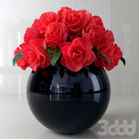 Розы11