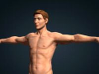White Male Realistic 3d Model 3D Model