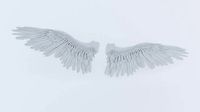 Angel or bird wings