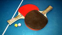Ping Pong Paddle and Ball