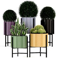 Plants collection 193