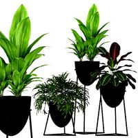 Plants collection 192