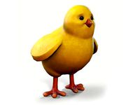 Chicken Toy