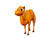 Camel Character