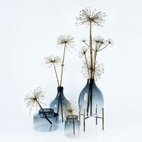 Heracleum set in vases