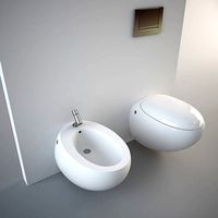 Wall hung Egg Pod Bidet and Toilet