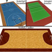 Volleyball Basketball Handball Courts