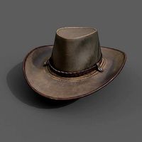 Human Hat ver 3