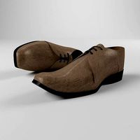 Realistic shoe
