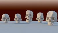 Skull