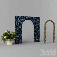 цветы Novello