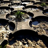 After rain mud groun