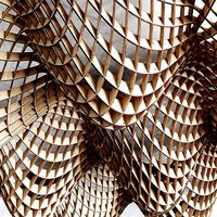 Parametric cage ceiling