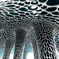 Biomica cell oval cage