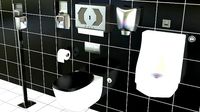 Bathroom Assets