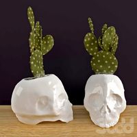 Ceramic Skull Planter