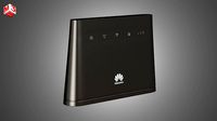 HUAWEI LTE CPE B310 -Internet Device