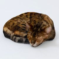 Спящий кот (sleeping cat)
