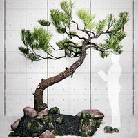 pine