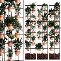 Plants collection Vertical gardening 30