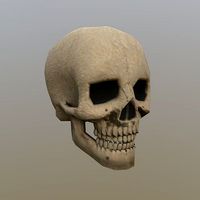 Skull Lowpoly