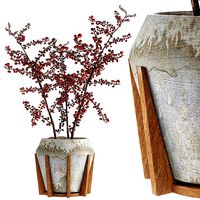 Plant in Pot Flowerpot Exotic Plant