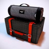 Outdoor Picnic Hamper 3D Model